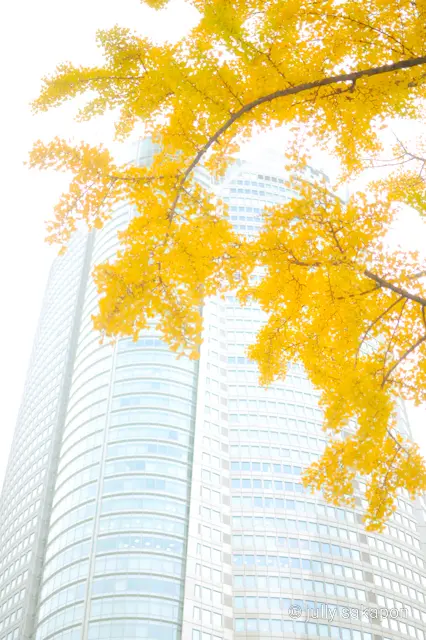 【さかぽんの冬支度】年末の贈り物を探しにの画像_7