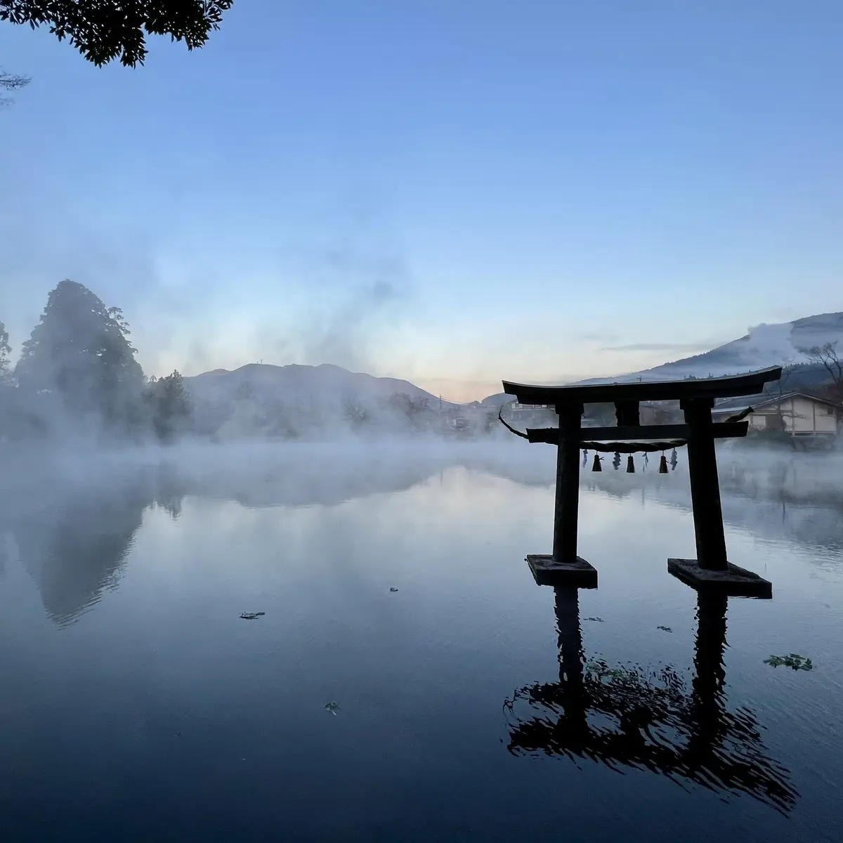 由布院「金鱗湖」朝霧の景色