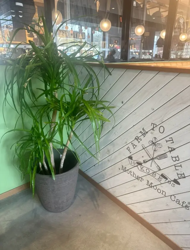 からだも心も満たされるランチ。の画像_2