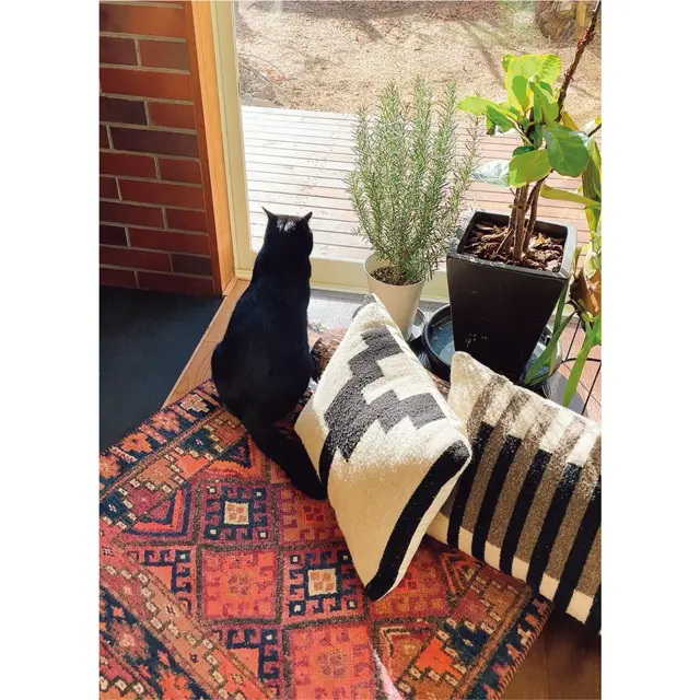 念願だった動物との暮らし