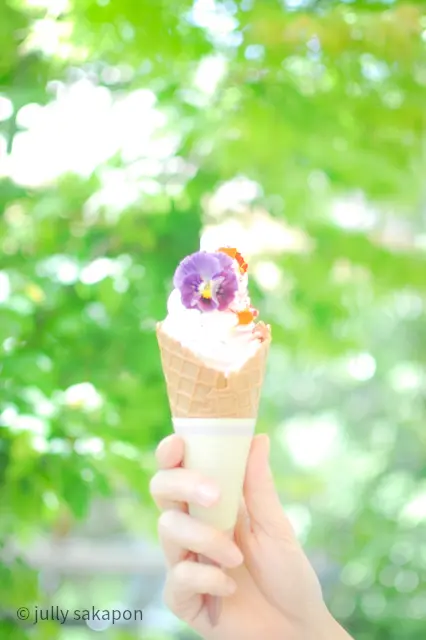 【番外編】初夏イングリッシュガーデンの画像_8