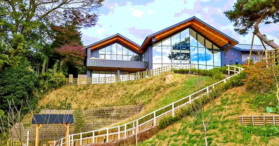 小６キッズと１泊旅行の画像_1