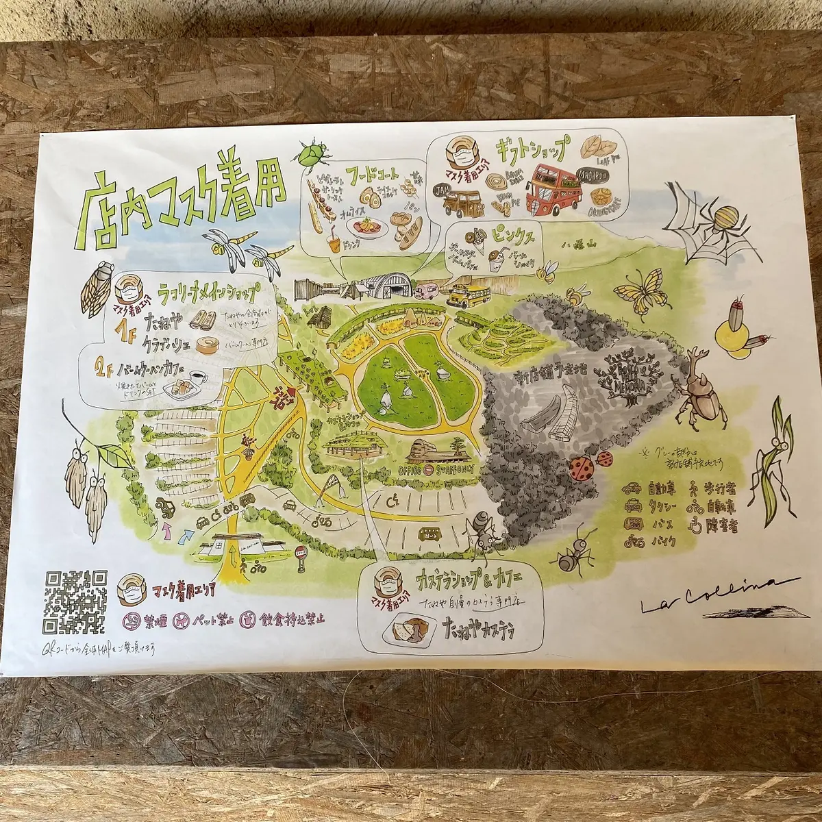 風情ある街並みを散策～近江八幡日帰り旅の画像_2