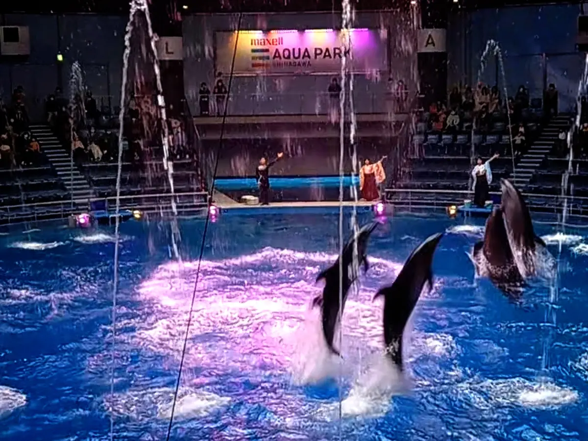 海の世界のお花見? @マクセルアクアパーの画像_9