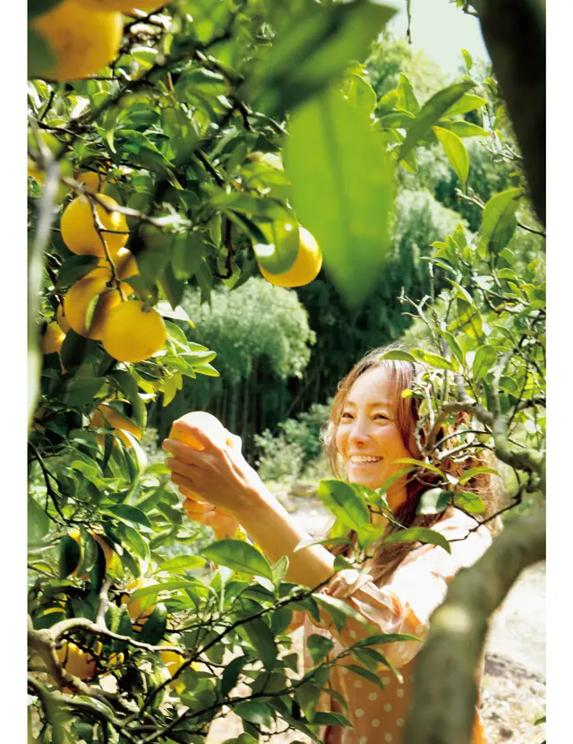 有元葉子　高知