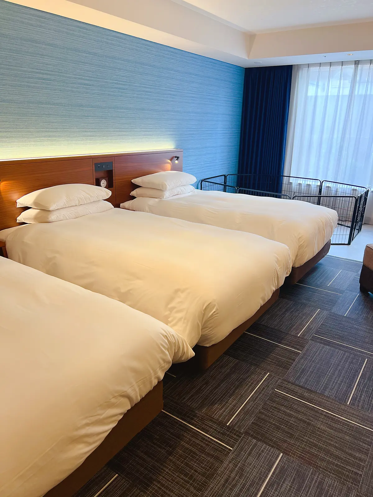 海外気分「ハイアット リージェンシー 東の画像_2