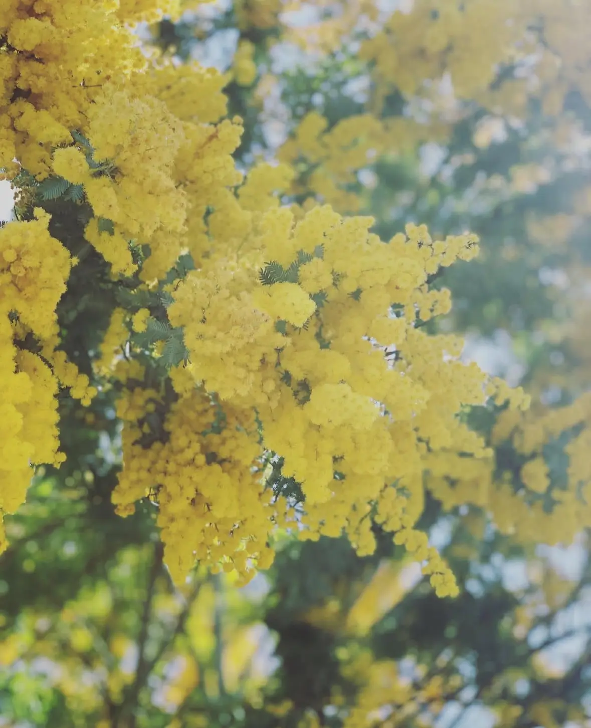 ZARAのニットジャケットで春カジコーデの画像_6