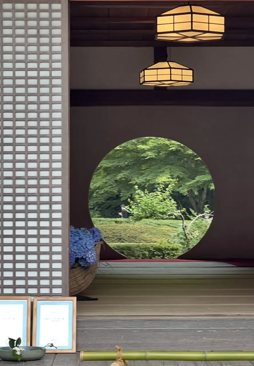 紫陽花☆お蕎麦☆6月の鎌倉さんぽの画像_17