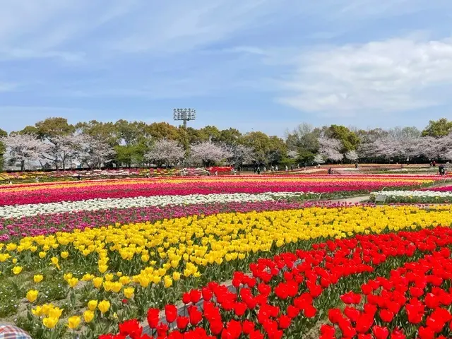 春色♪の画像_1