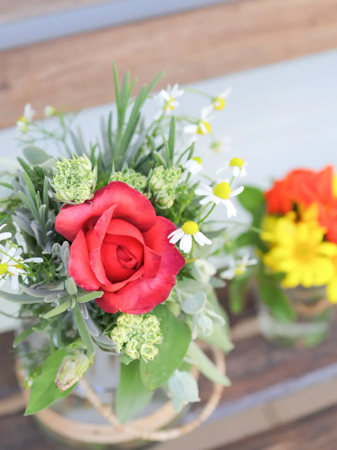 タッジーマッジーで癒しの時間の画像_1