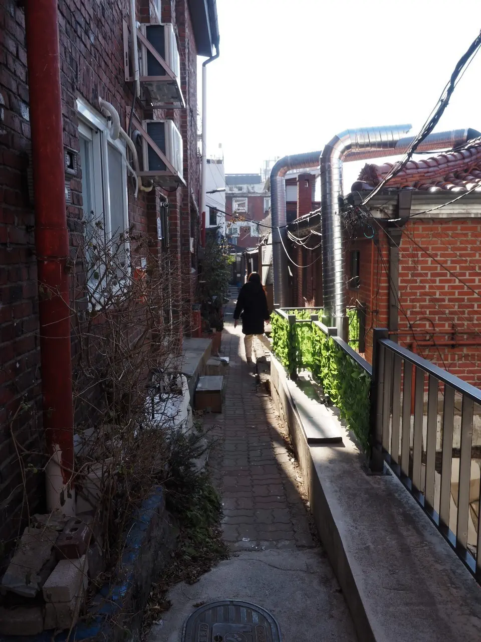 冬のソウル旅！景福宮・北村韓屋村で韓国ドの画像_6