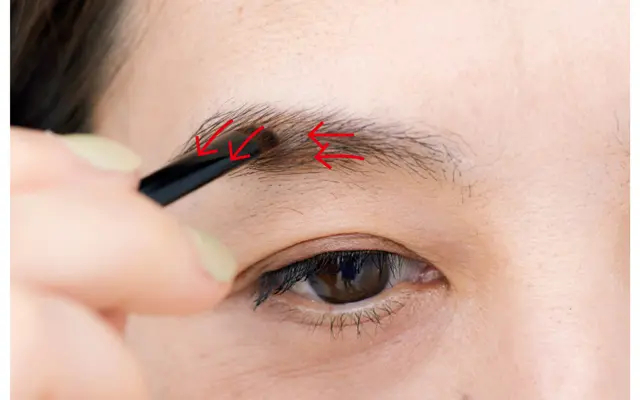 毛の流れに沿って地肌までパウダーをオン