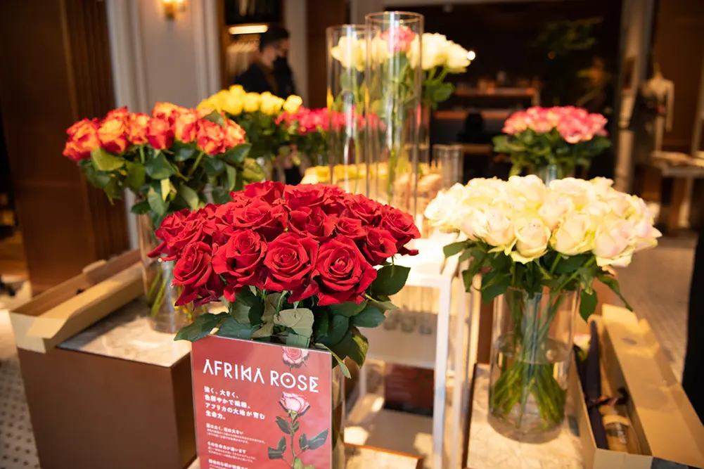 ポール・スチュアート青山本店のコリドーにはアフリカローズのポップアップが