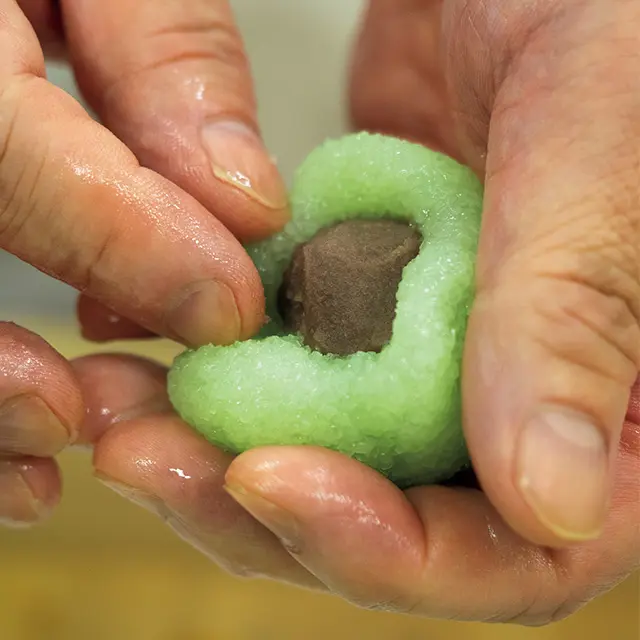 萩饅頭は、こしあんを道明寺の生地で包んでこしらえる。