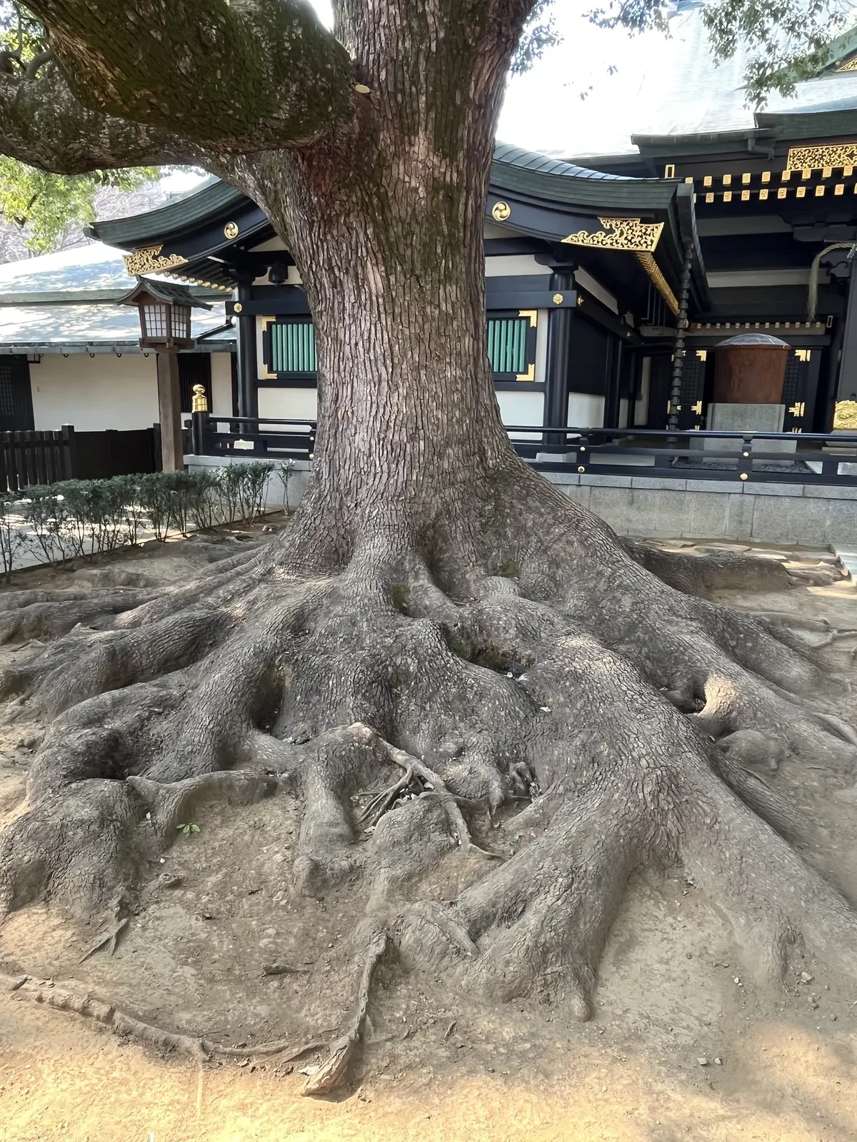 ランチとお参りの画像_18