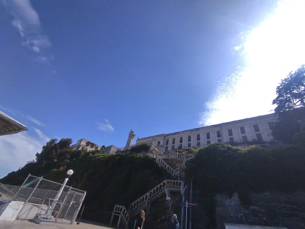 30年の時を経て…San Francisの画像_7