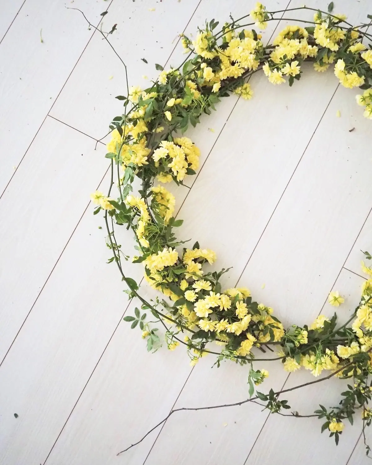 鎌倉便り。咲きました！木香薔薇で彩るインの画像_3