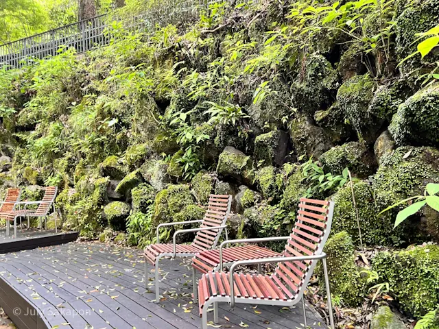 【さかぽんの冒険】本と温泉旅@湯河原惣湯の画像_8