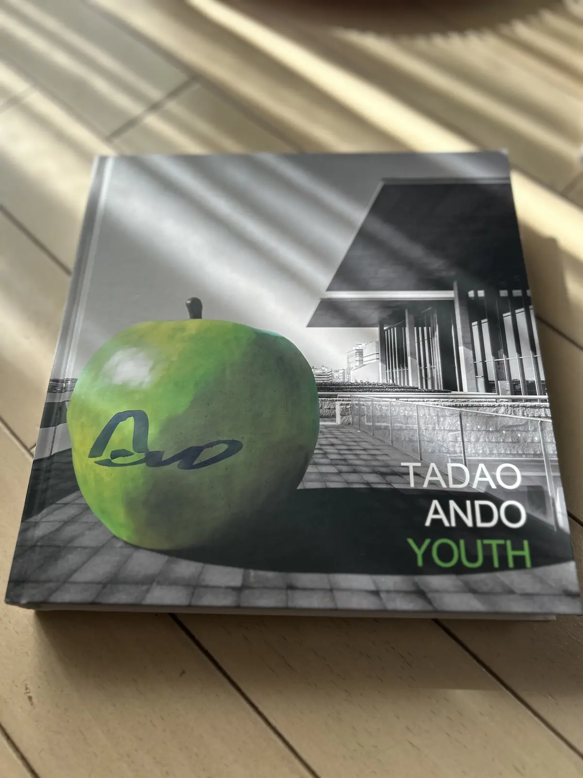 世界的建築家・安藤忠雄展に行ってきましたの画像_15