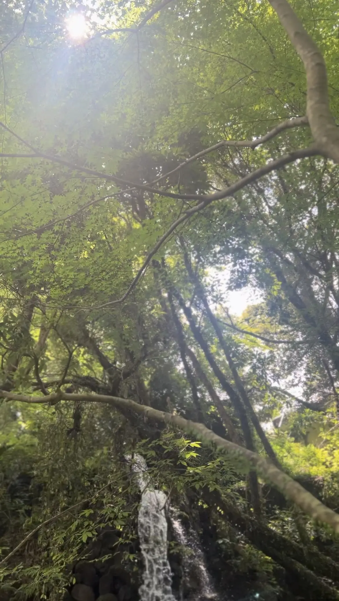 キャップコーデでエスケープ@湯河原惣湯玄の画像_8