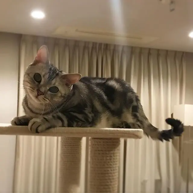 寝ないで、遊ぼうよ！の画像_1