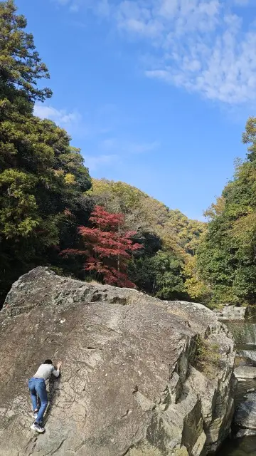 UNIQLO感謝祭戦利品とお気に入りスニの画像_4
