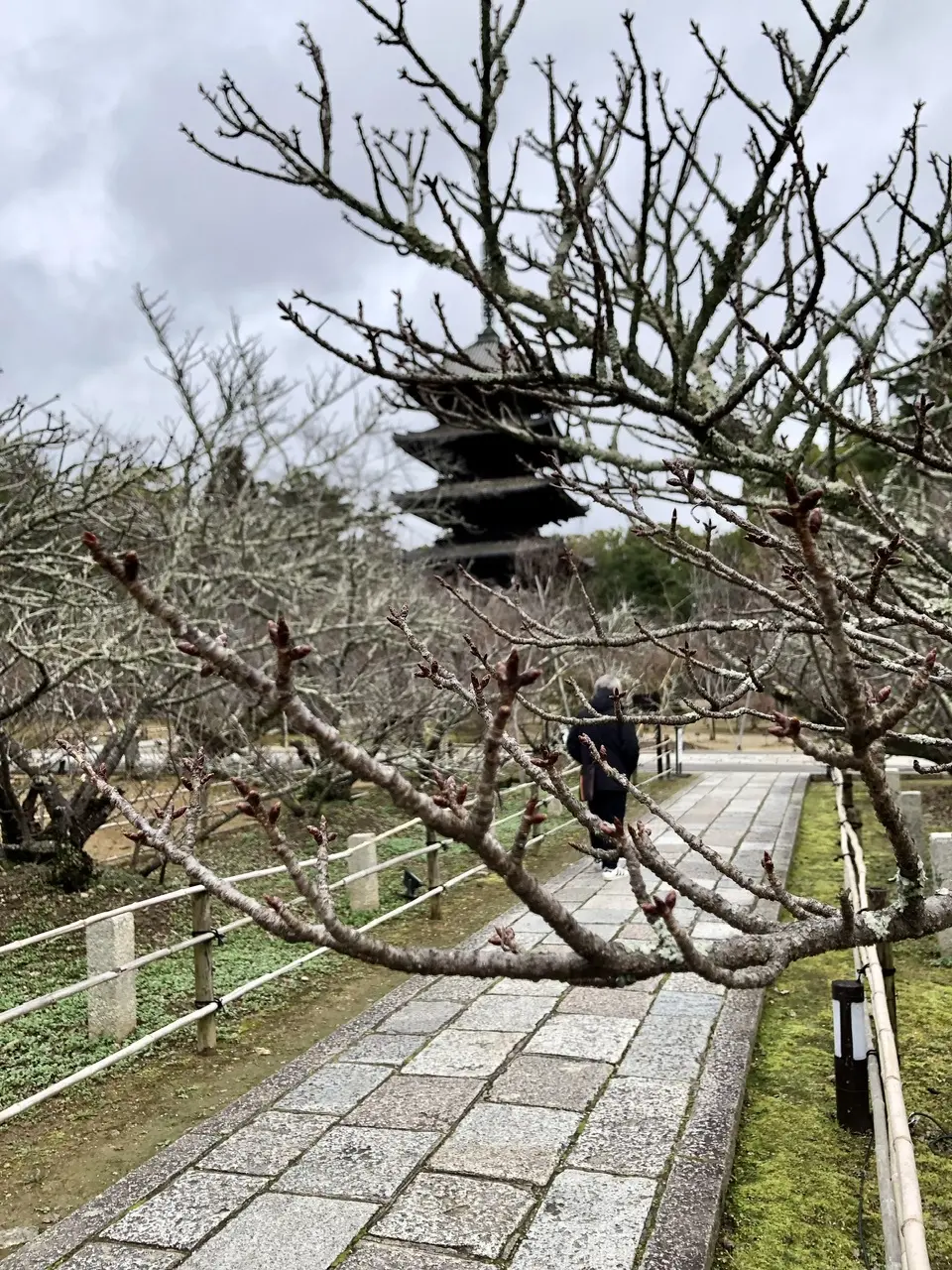 そうそう、京都、行ってきてん ② 〜仁和の画像_7