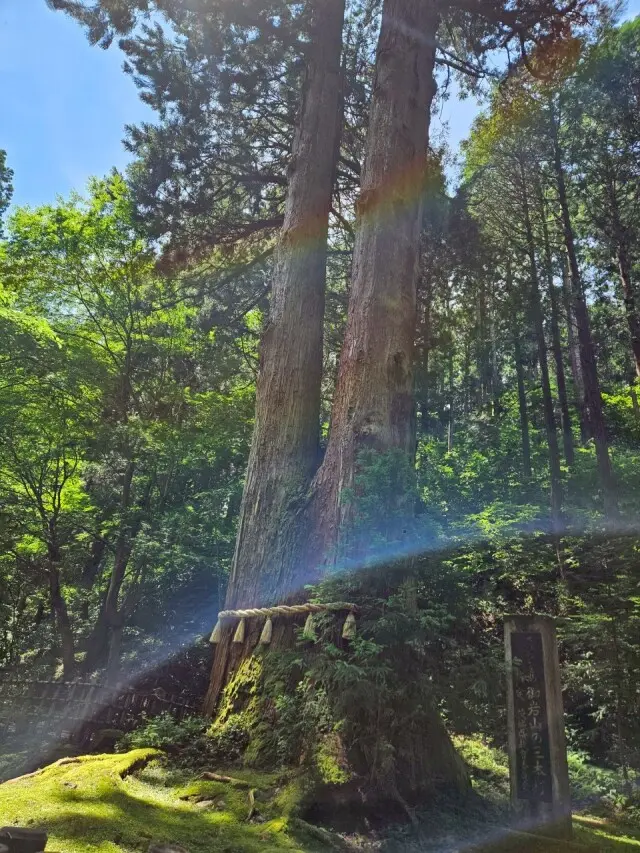 夏の茨城旅【後編】御岩神社から偕楽園、弘の画像_3
