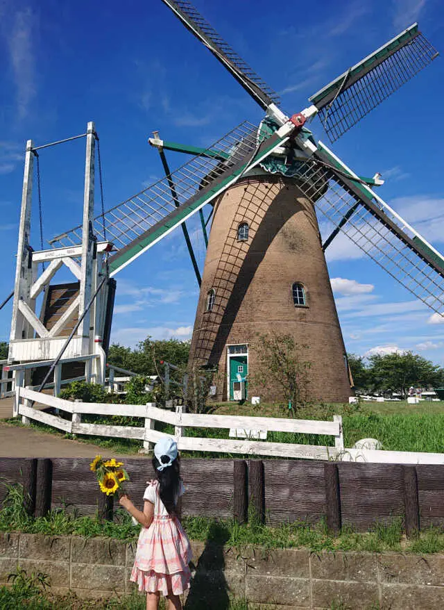 風車のひまわりガーデンの画像_7