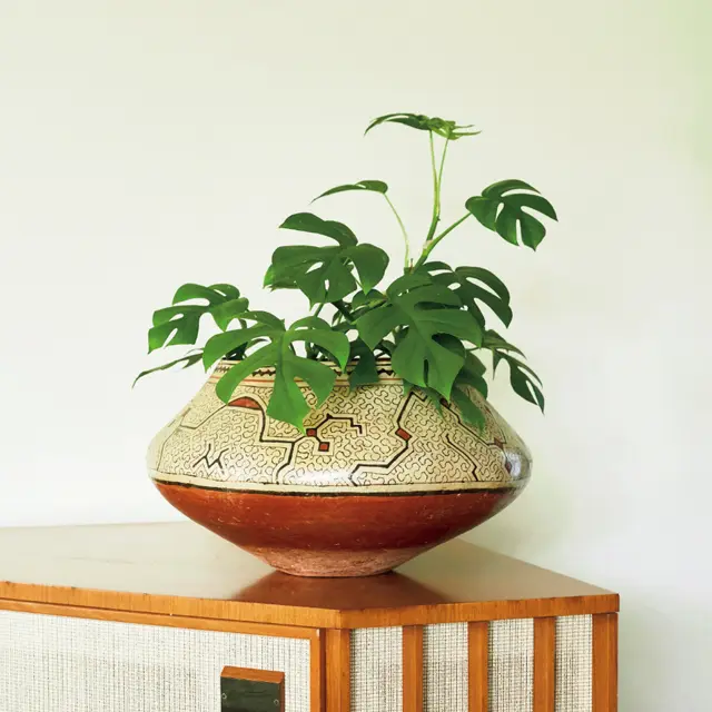 鉢カバーの色や素材をそろえて並べると美しく見える