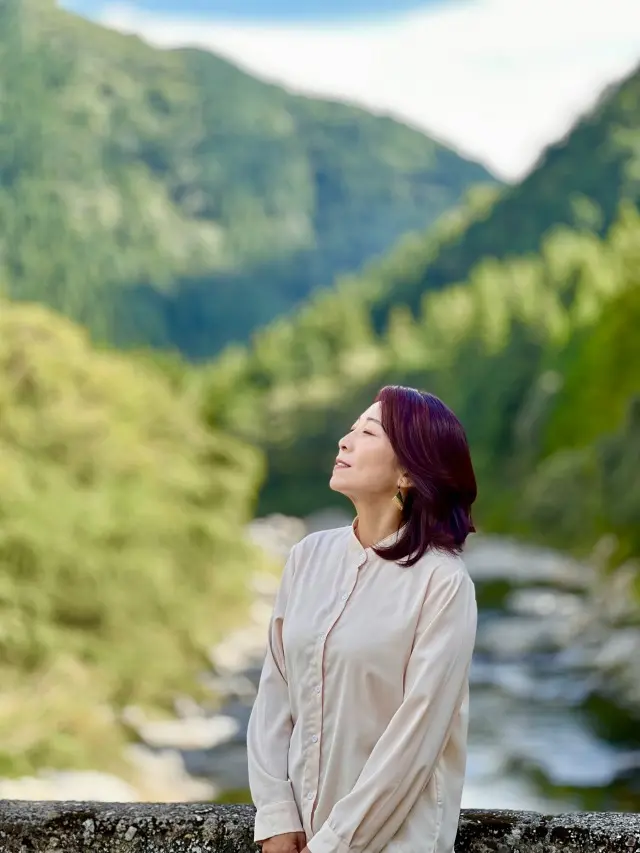 自然の中で過ごすひととき 「モネの池」「の画像_13