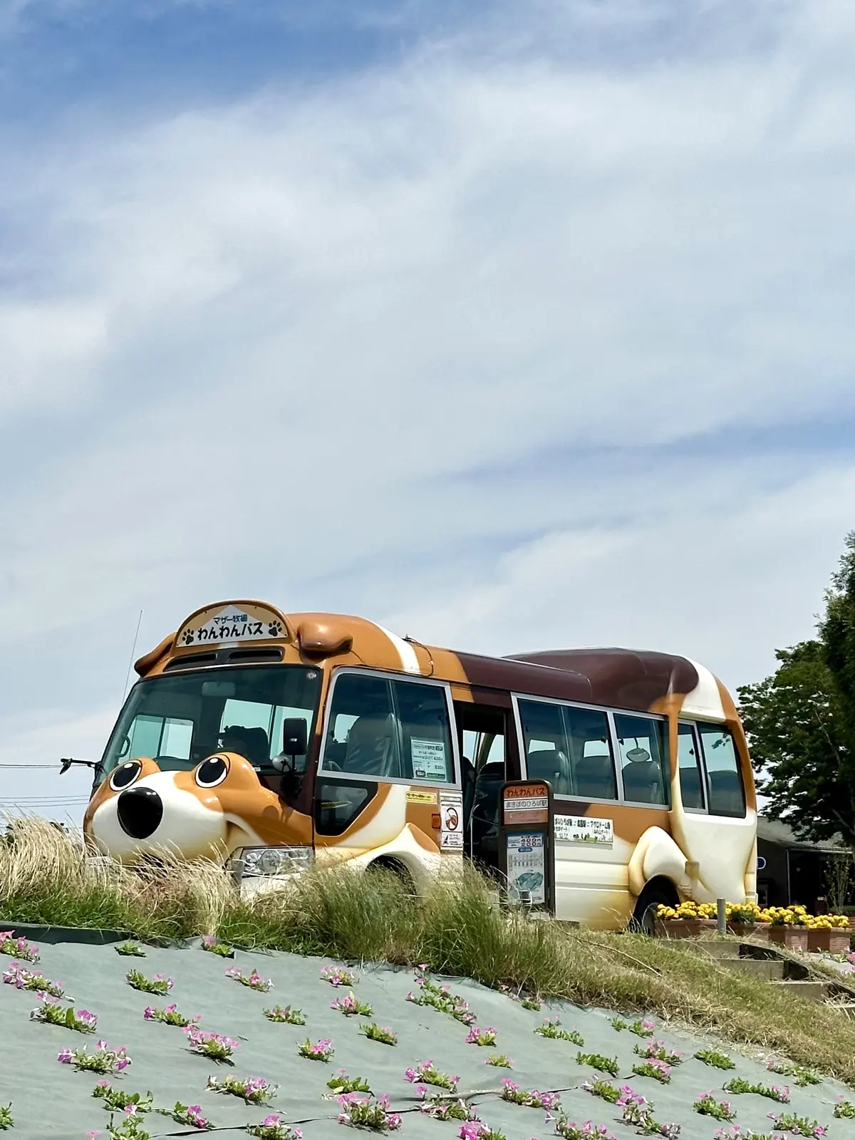 GUデニムで初夏の景色を楽しむお散歩へ♪の画像_21