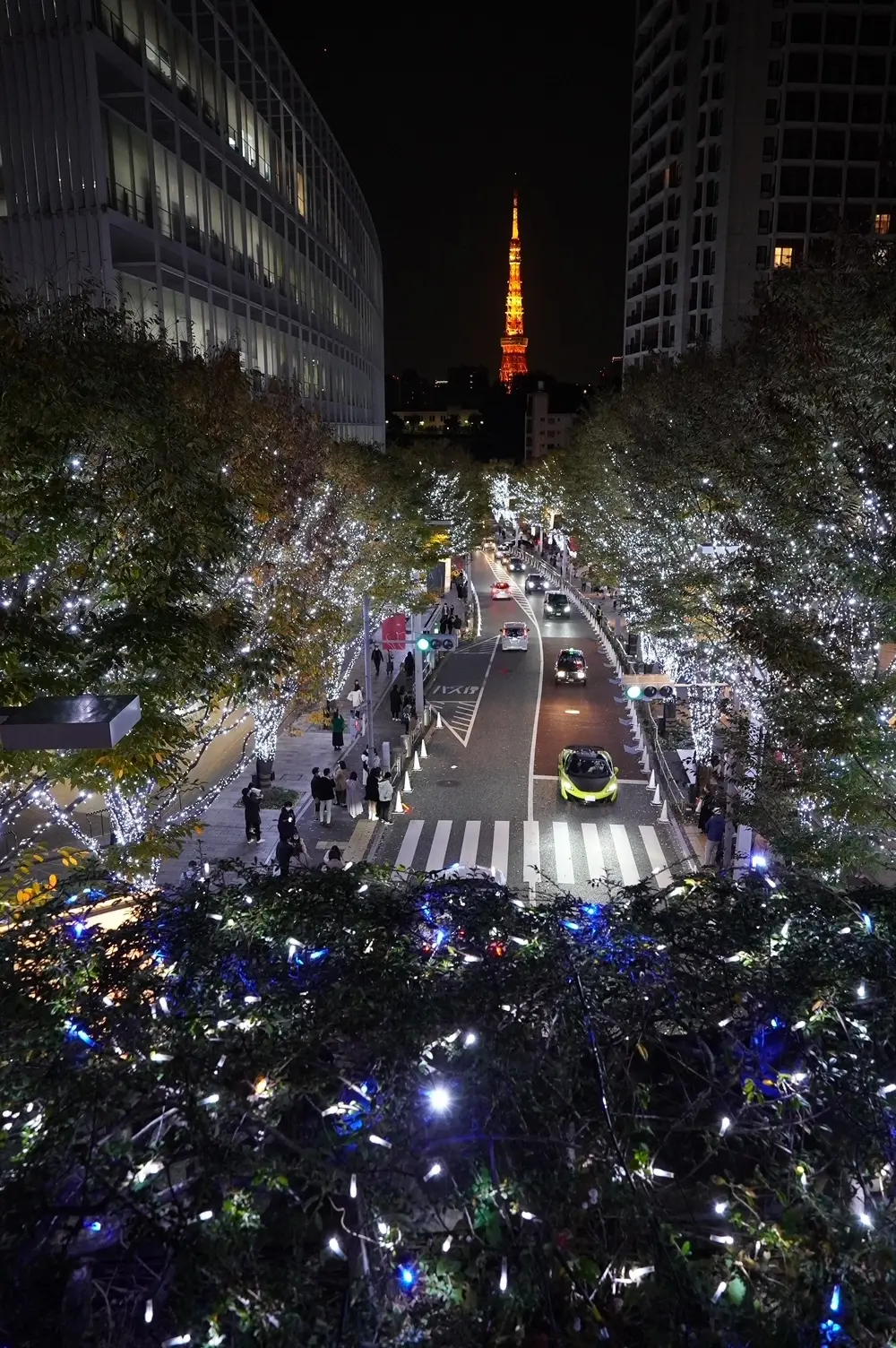 六本木ヒルズのイルミネーションの画像_2