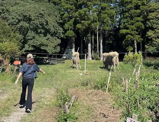 ゆっくりと時間が流れる癒やしのカフェへ♡の画像_7
