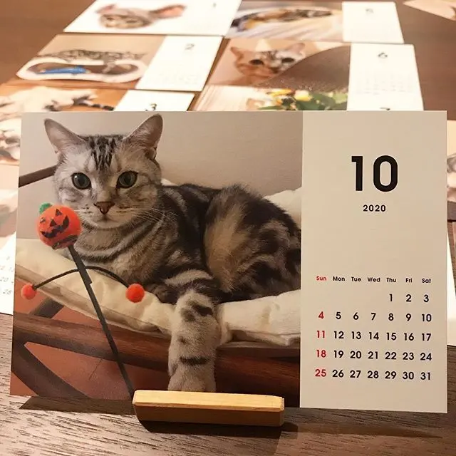 アランのカレンダーの10月はハロウィン