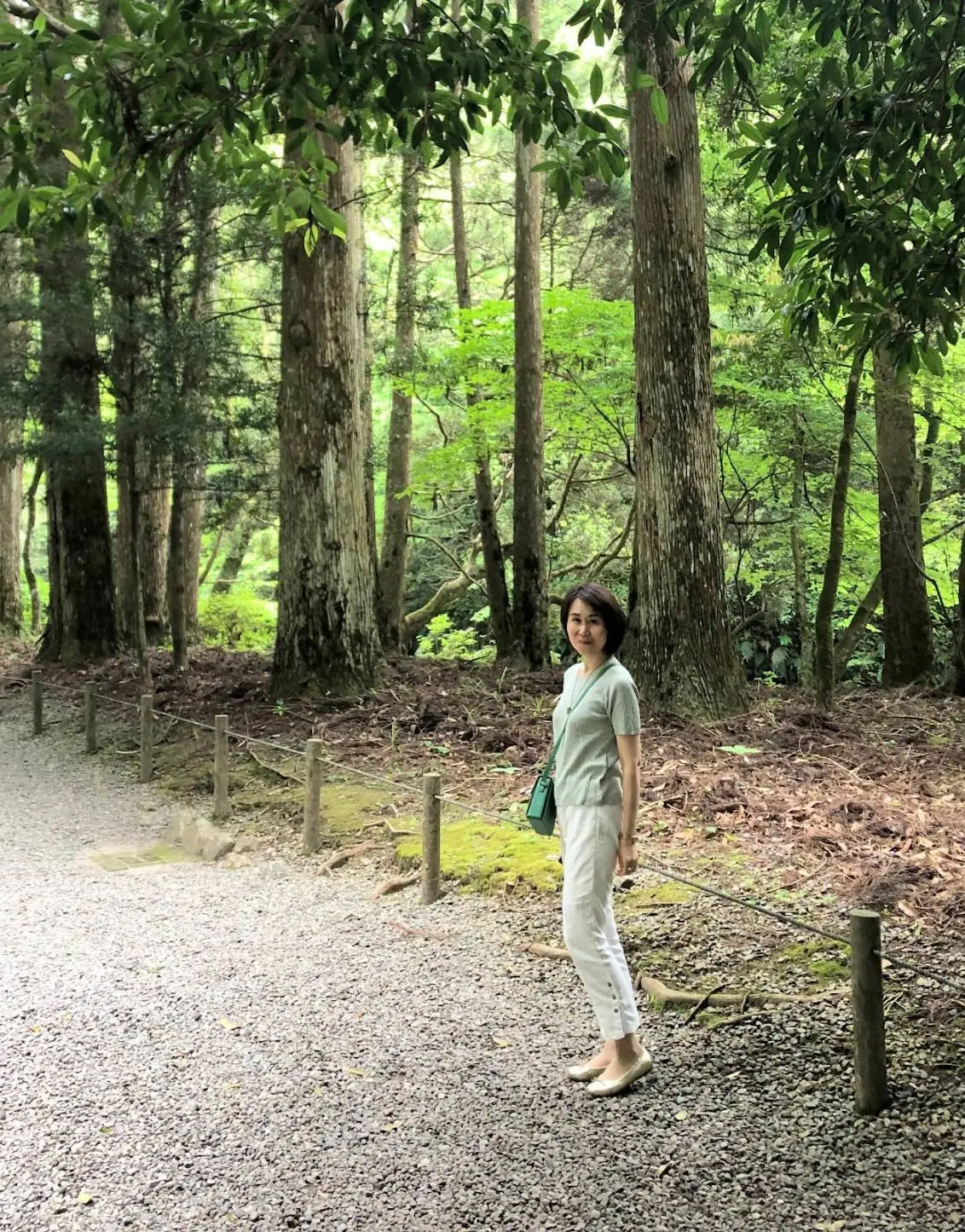 トレンドカラー《グリーン》のポシェットをの画像_6