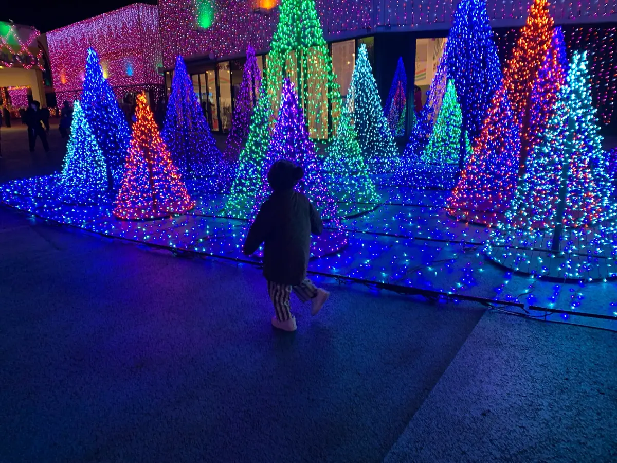 遊園地イルミネーション