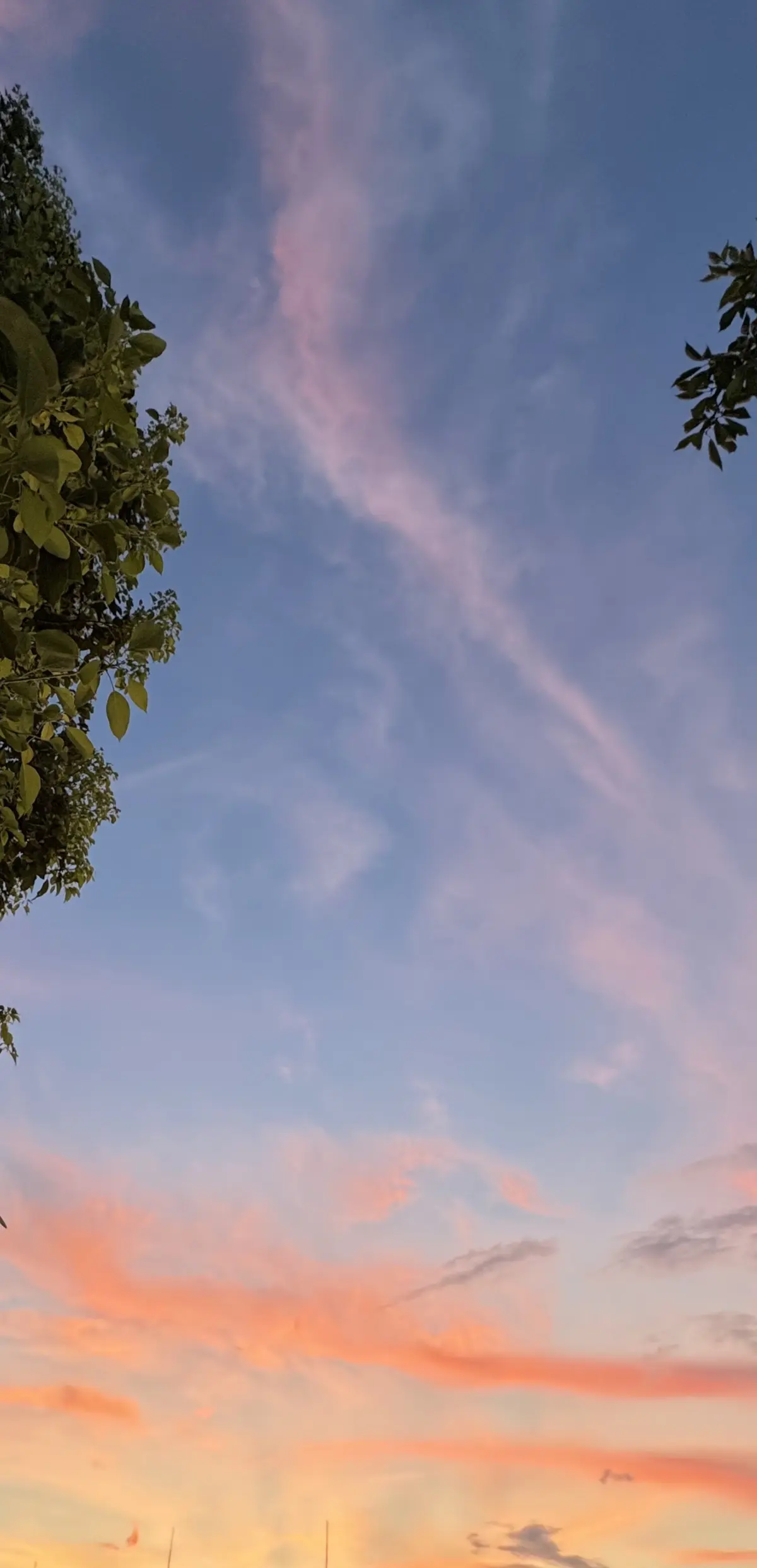 夏空　夏の空　夏空感動　いまそら　夏の夕焼け　夕焼け