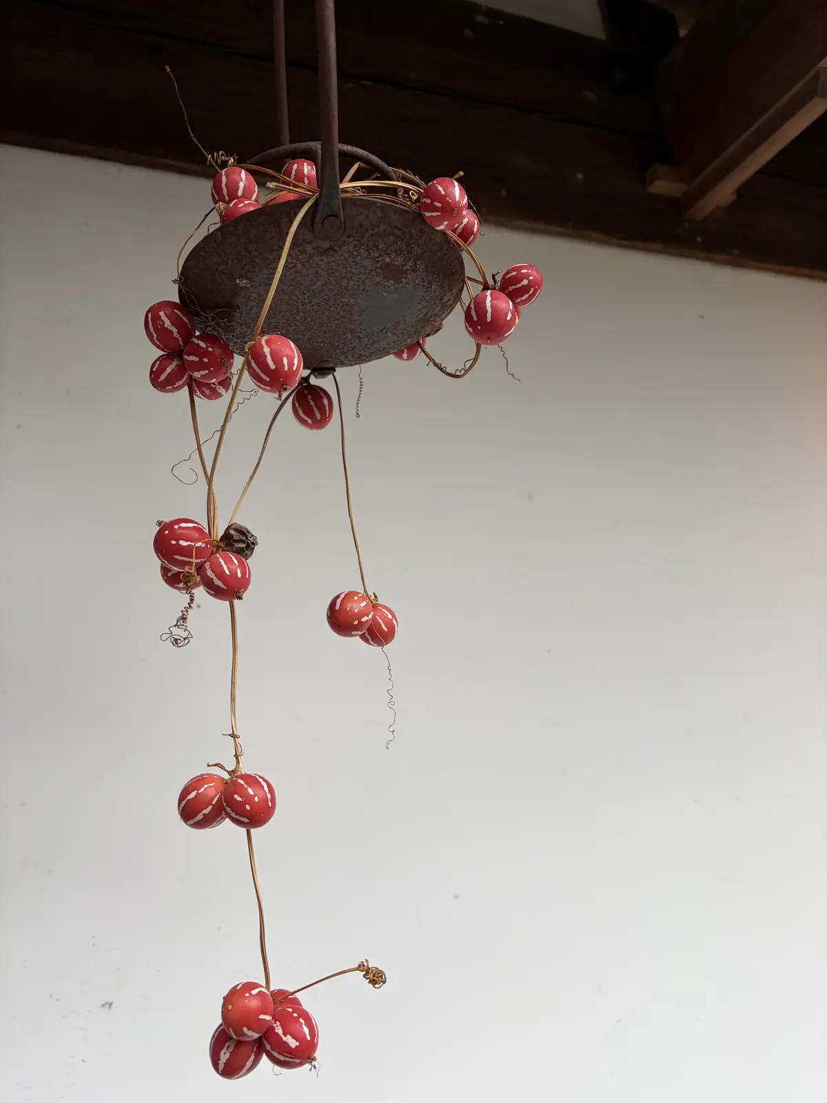 白州次郎・正子夫妻が暮らした武相荘で、心の画像_12