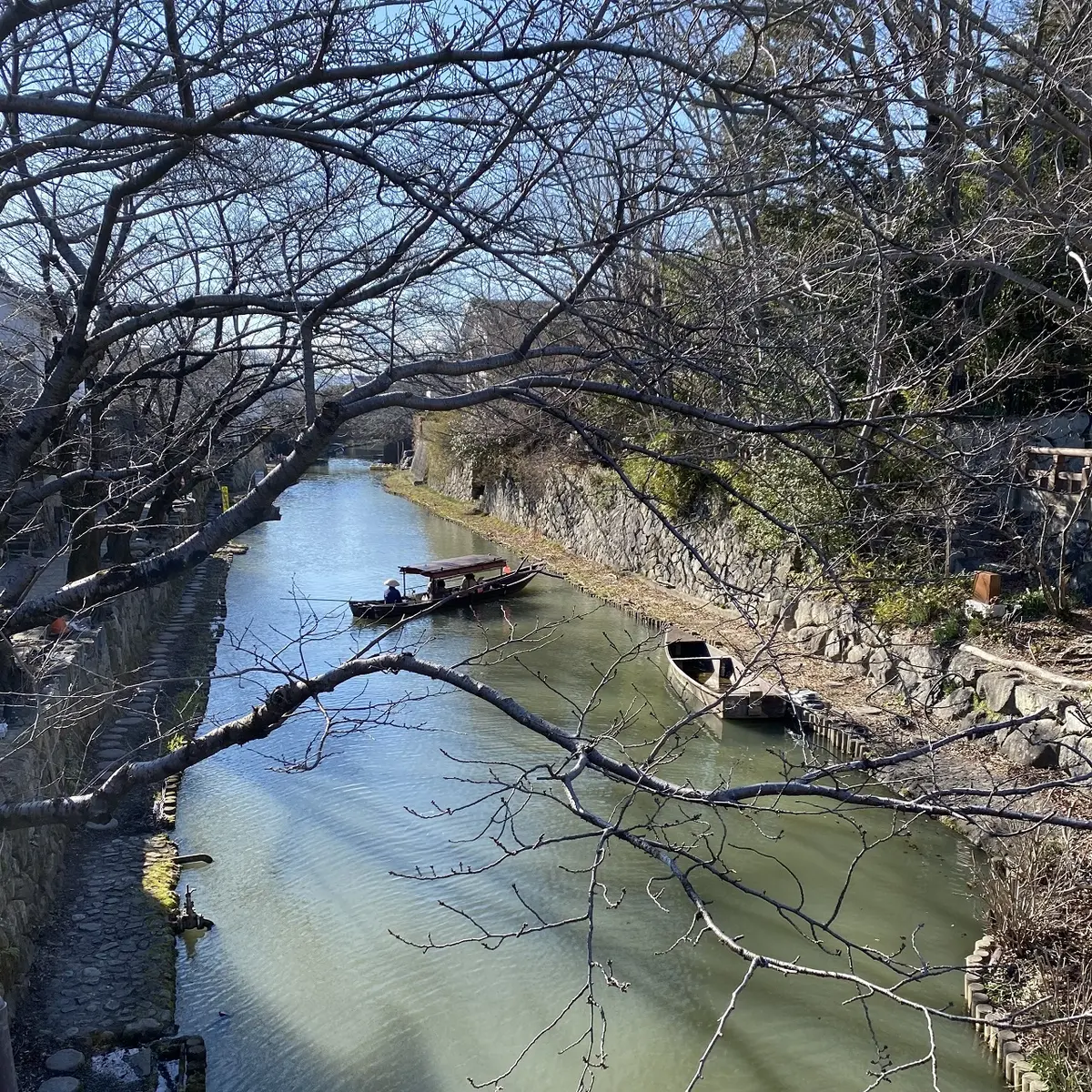 風情ある街並みを散策～近江八幡日帰り旅②の画像_3