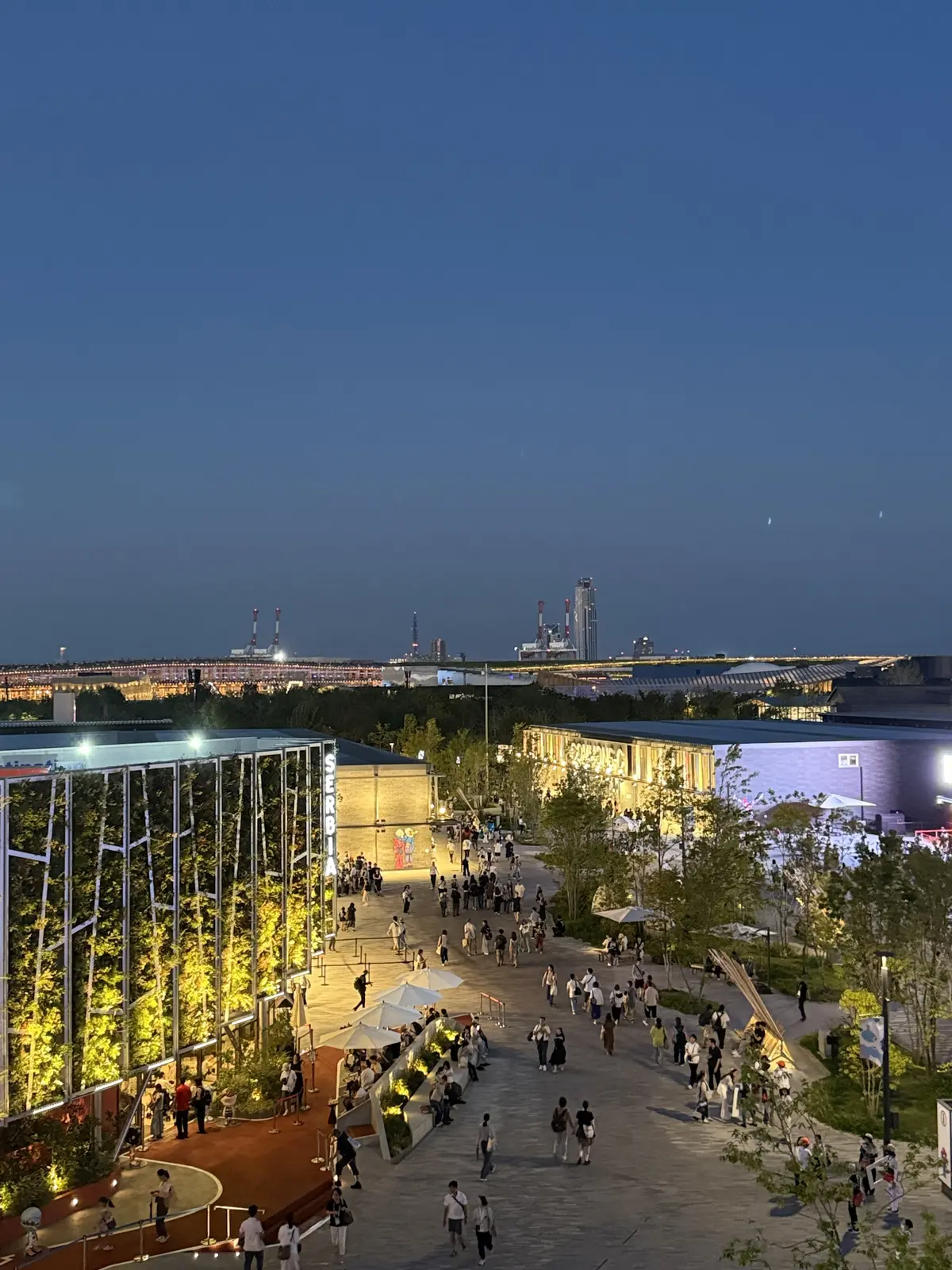 夜の大阪・関西万博でも疲れ知らず♡ エアの画像_6