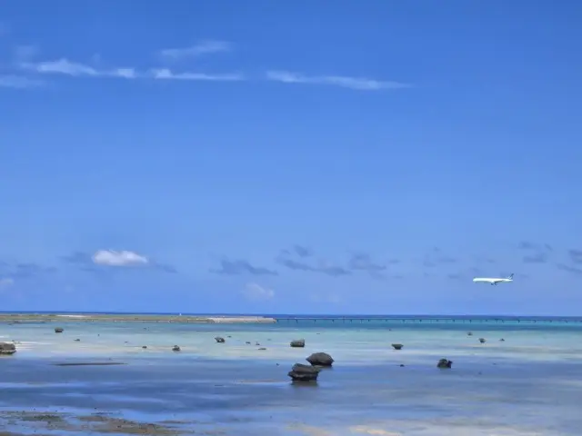 伊良部島で過ごす4度目の夏 私が帰りたくの画像_15
