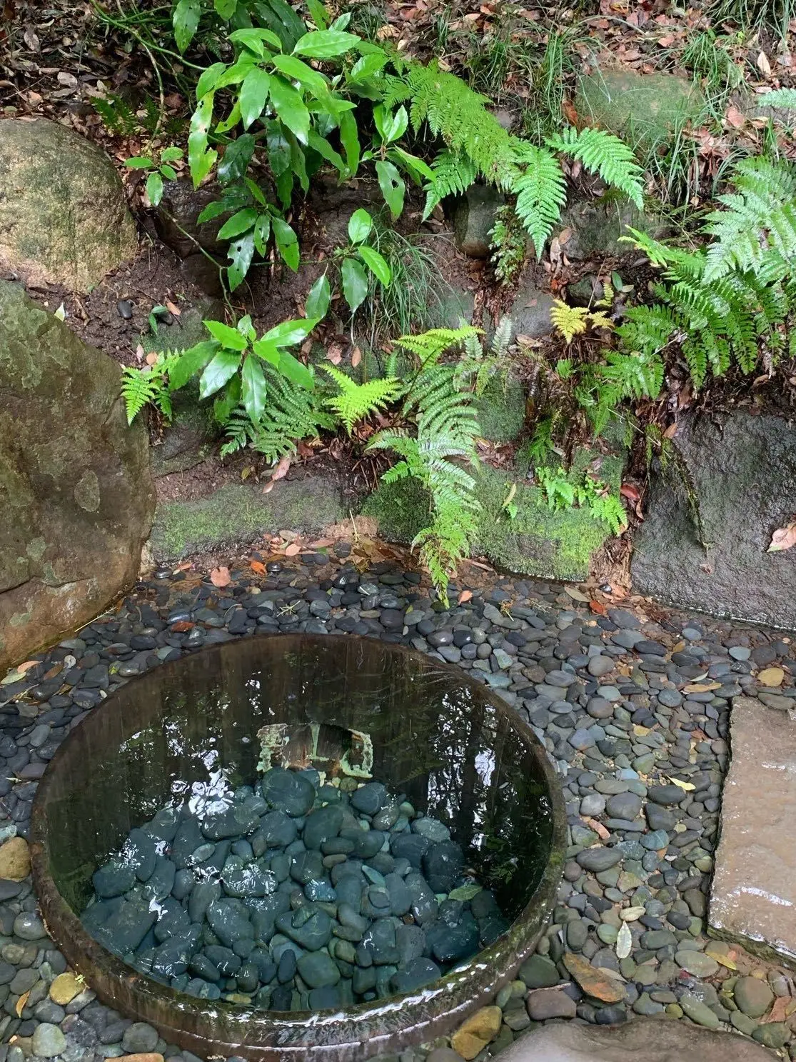 新緑の季節の画像_4