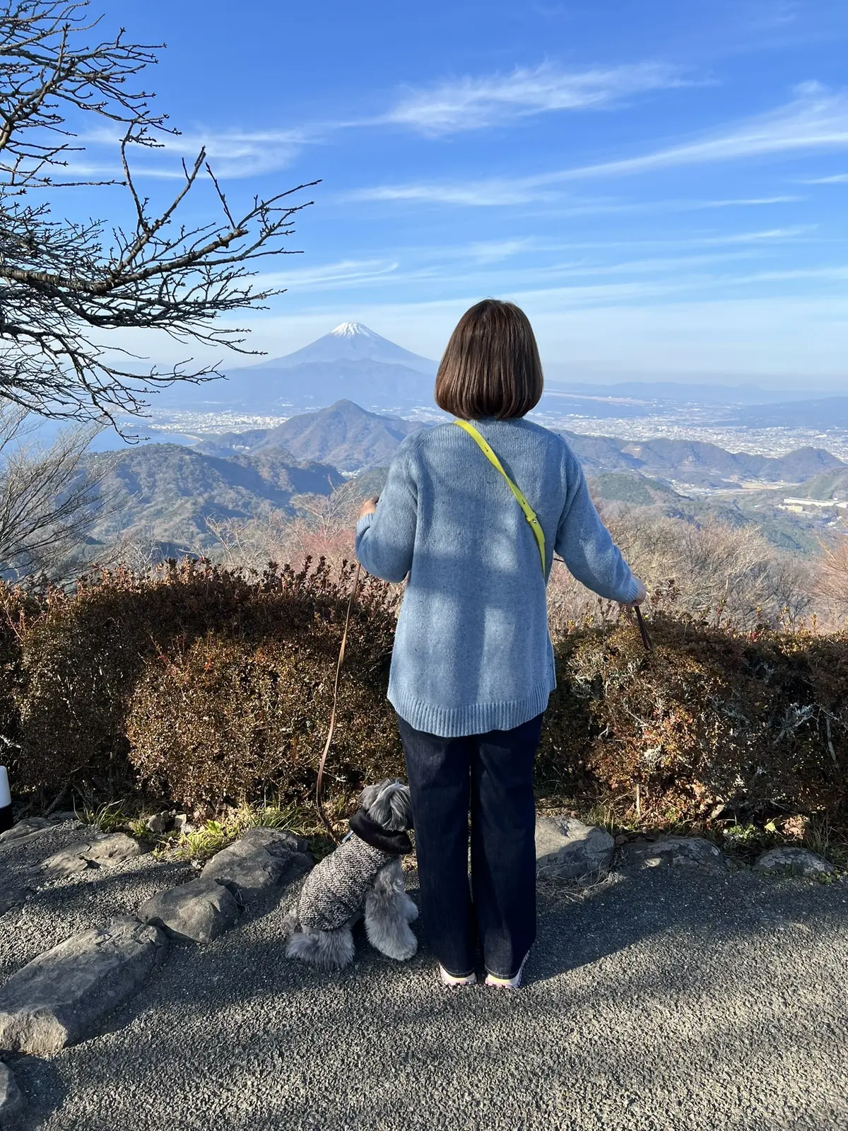 伊豆パノラマパーク