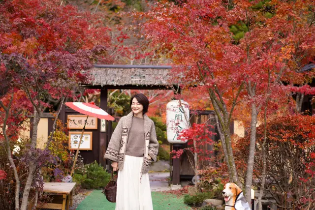 彩りの秋、紅葉真っ盛りの山中湖ドライブ♪の画像_1