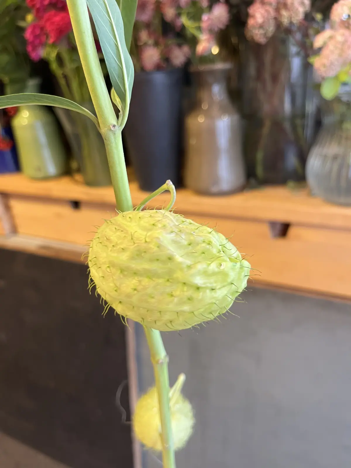 最後にトロピカル感あるブーケをの画像_12