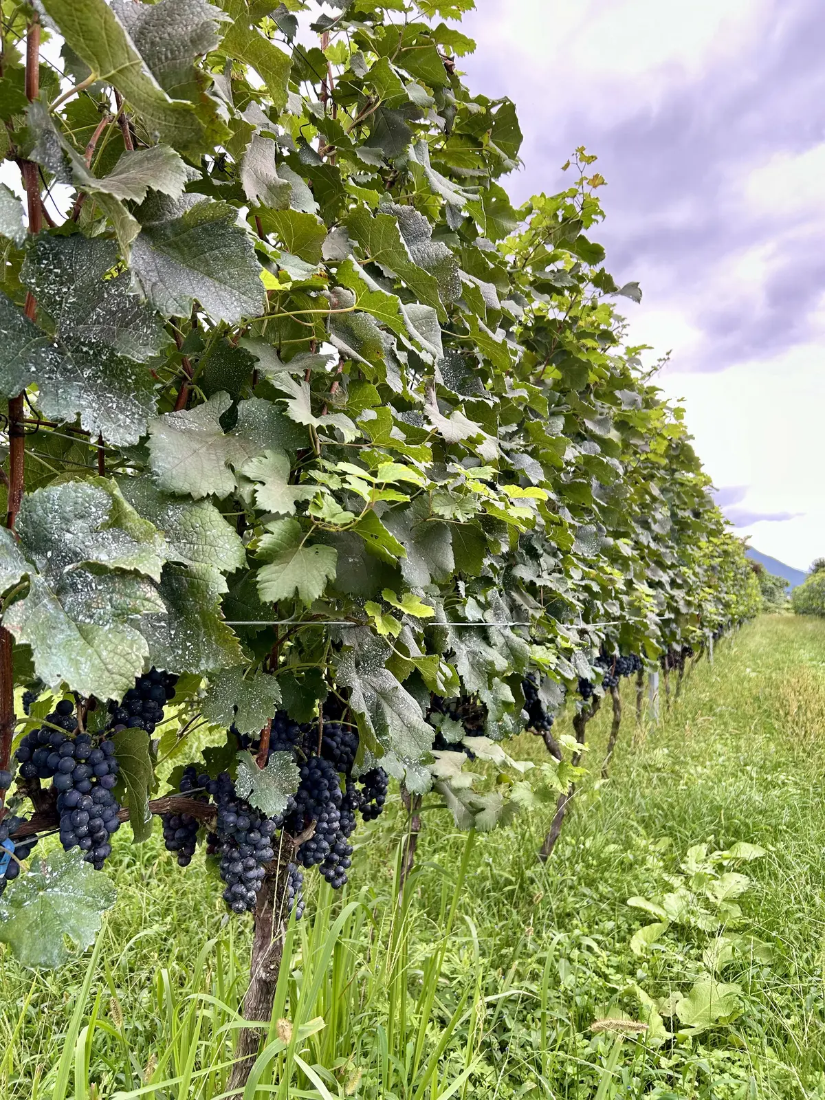 仙台・秋保温泉街を散策♪の画像_20