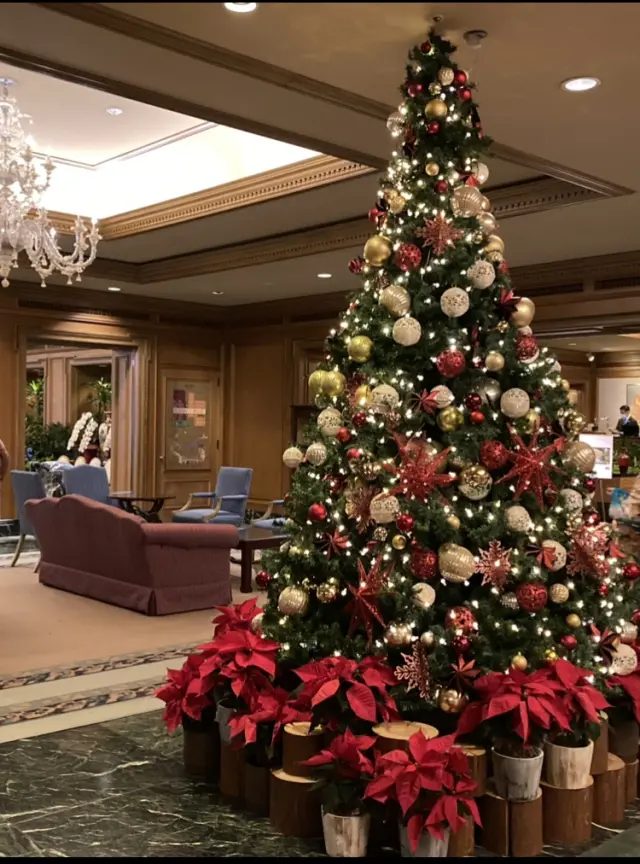 落ち着いたロビー。天井まであるクリスマスツリー