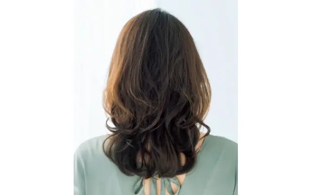 ロングヘア　後ろ姿