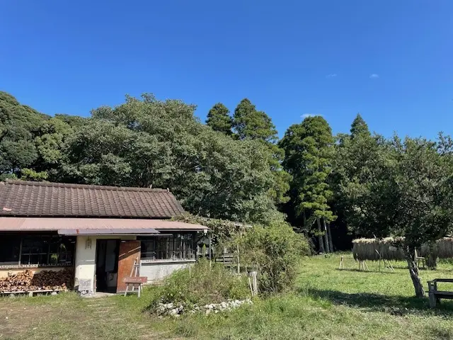 ゆっくりと時間が流れる癒やしのカフェへ♡の画像_1